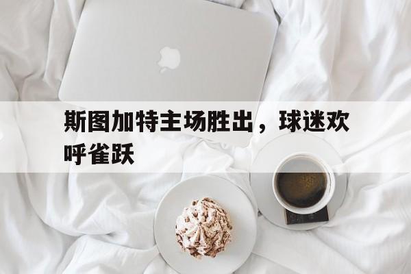 斯图加特主场胜出，球迷欢呼雀跃的简单介绍